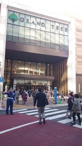 GRAND　TREE　行ってみました