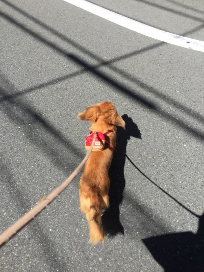 オニューのバッグ♪